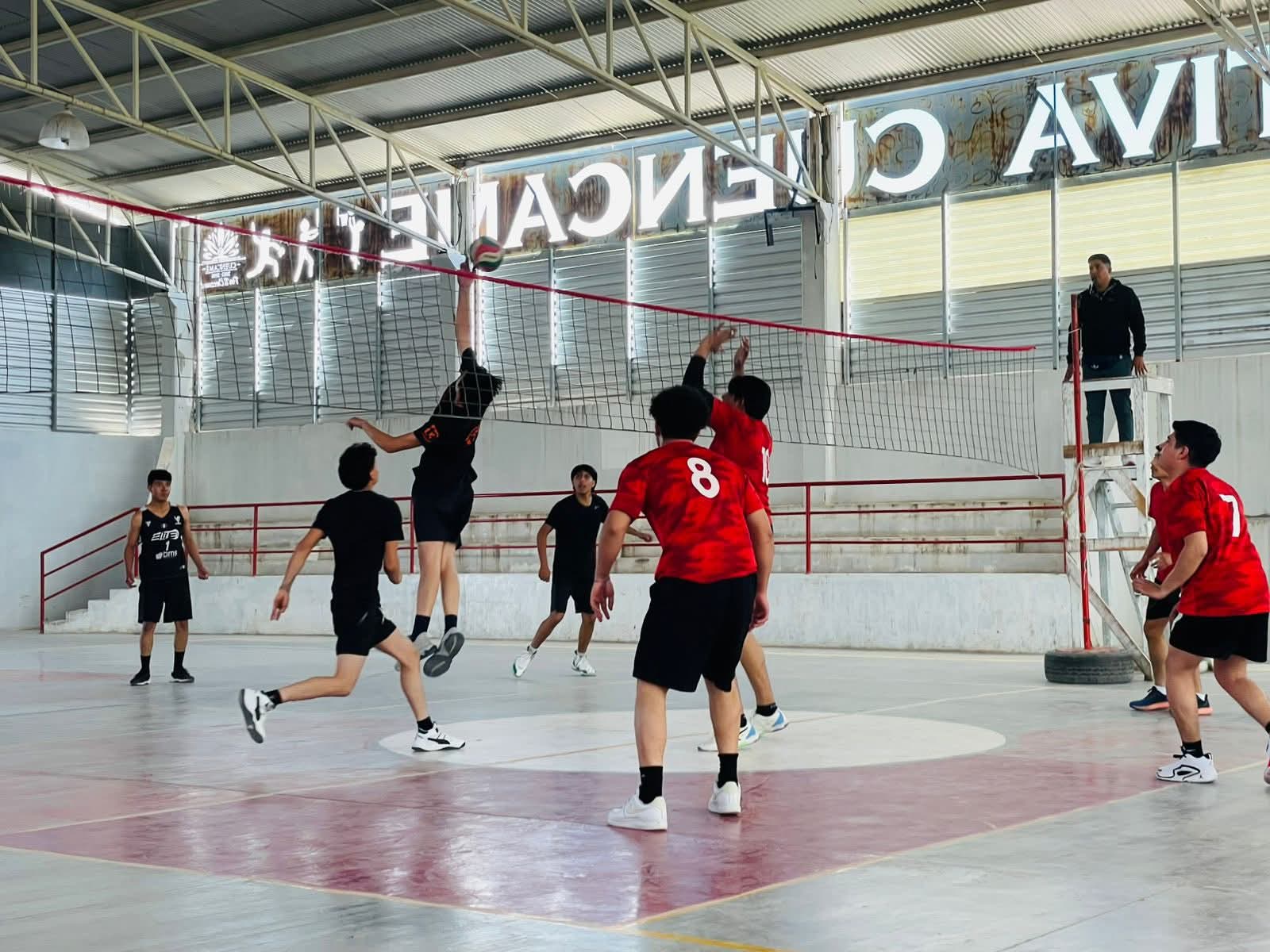 Imagen 10